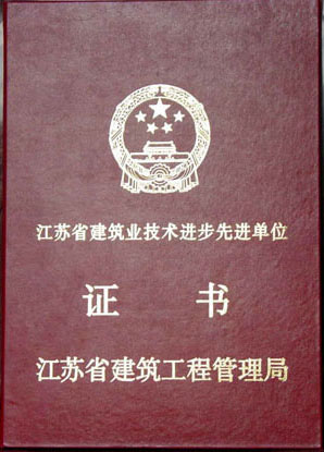 省建筑業(yè)技術進步證書